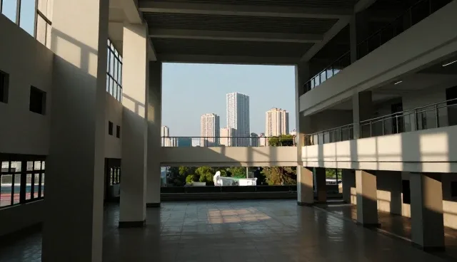 用户需求差异如何影响企业展示服务市场表现
