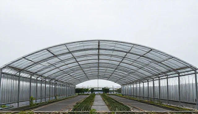 供求信息发布平台优化:常见误区与正确使用方式